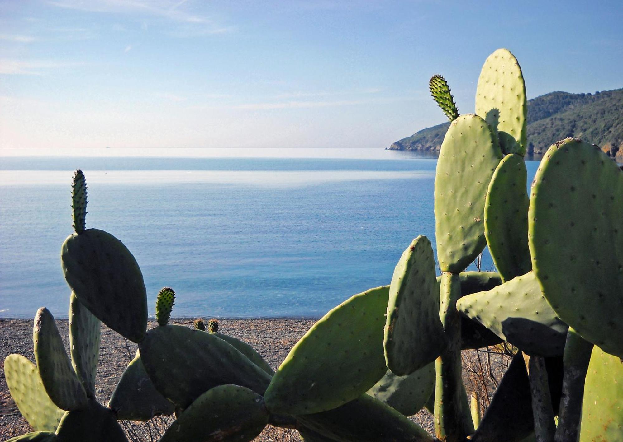 Hotel Capo Sud Lacona Exterior foto